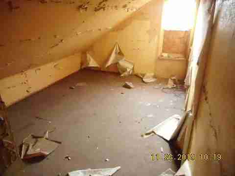 14394 Cruse (38)_m.jpg